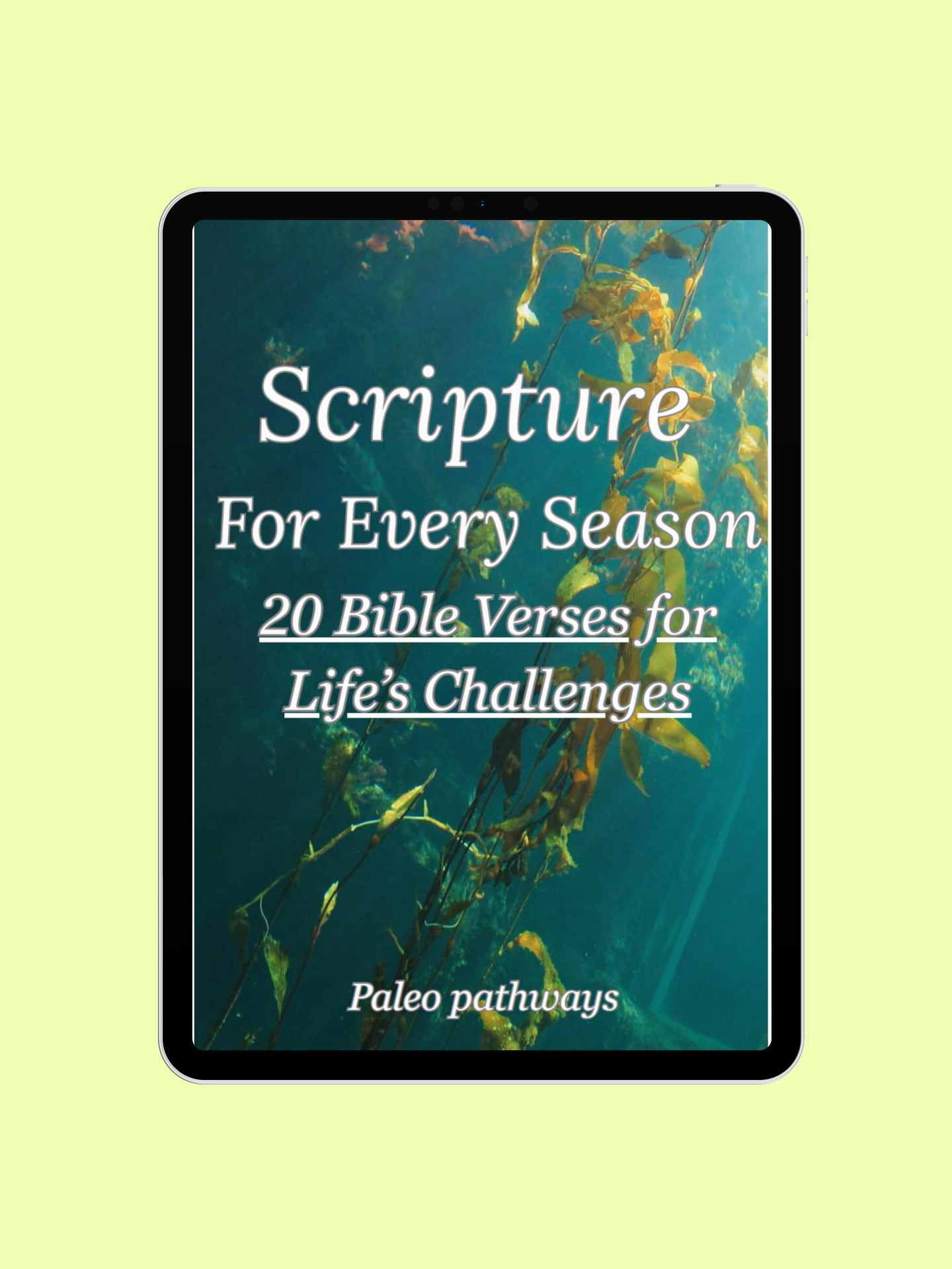 Scripture for Every Season: 20 Bible Verses for Life's Challenges